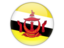 Brunei. Round icon. Download icon.