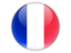 France. Round icon. Download icon.