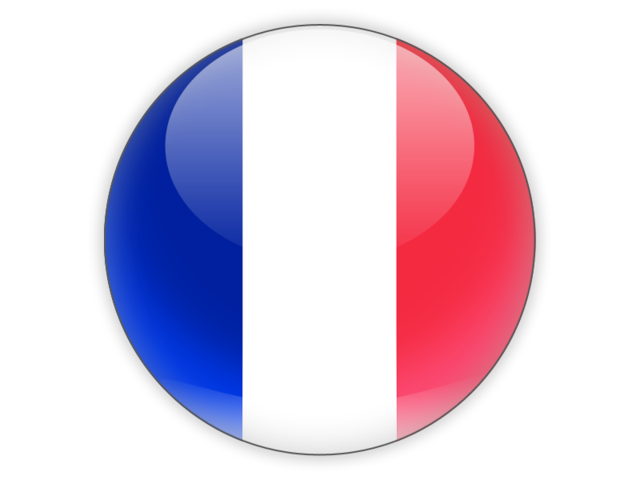 Image result for french icon