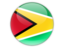 Guyana. Round icon. Download icon.