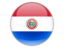 Paraguay. Round icon. Download icon.