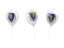 Flag of state of Massachusetts. Air balloons. Download icon