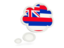 Flag of state of Hawaii. Bubble icon. Download icon