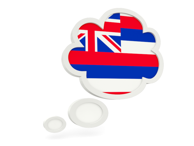 Bubble icon. Download flag icon of Hawaii
