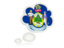 Flag of state of Maine. Bubble icon. Download icon