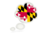 Flag of state of Maryland. Bubble icon. Download icon