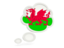 Wales. Bubble icon. Download icon.