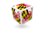 Flag of state of Maryland. Cube icon. Download icon