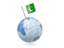 Pakistan. Earth with flag pin. Download icon.