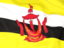 Brunei. Flag background. Download icon.