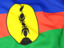 New Caledonia. Flag background. Download icon.