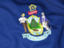 Flag of state of Maine. Flag background. Download icon