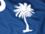 Flag of state of South Carolina. Flag background. Download icon