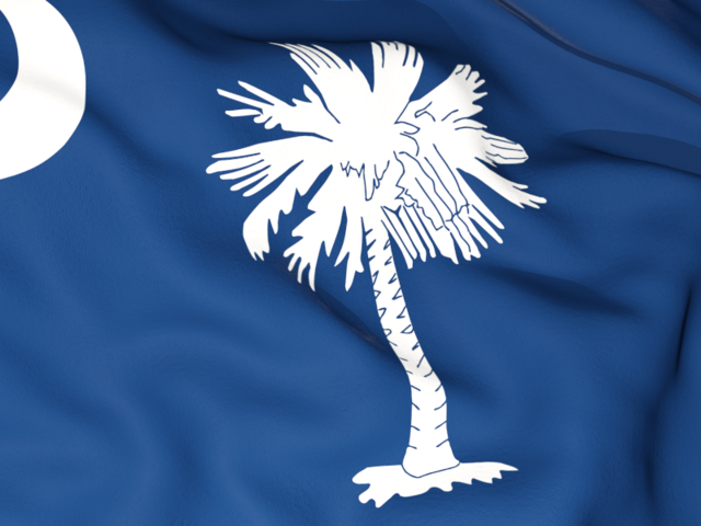 Flag background. Download flag icon of South Carolina