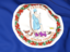 Flag of state of Virginia. Flag background. Download icon