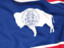 Flag of state of Wyoming. Flag background. Download icon