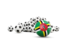 Dominica. Flag in front of footballs. Download icon.