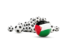 Palestinian territories. Flag in front of footballs. Download icon.