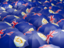 Anguilla. Flag on umbrellas. Download icon.