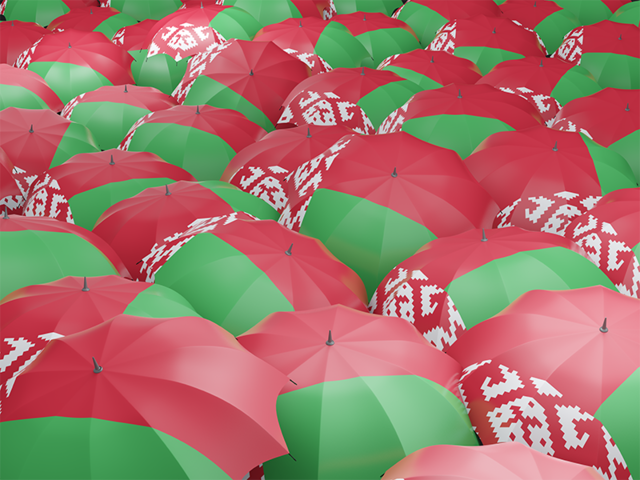Флаг на зонтиках. Скачать флаг. Белоруссия