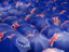 Cook Islands. Flag on umbrellas. Download icon.