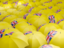 Niue. Flag on umbrellas. Download icon.