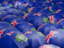 Pitcairn Islands. Flag on umbrellas. Download icon.