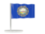 Flag of state of New Hampshire. Flag pin. Download icon