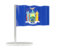 Flag of state of New York. Flag pin. Download icon