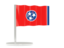 Flag of state of Tennessee. Flag pin. Download icon