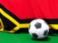 Vanuatu. Flag with football in front of it. Download icon.