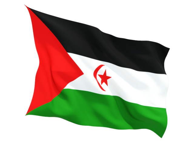 Fluttering flag. Download flag icon of Western Sahara at PNG format