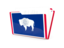 Flag of state of Wyoming. Folder icon. Download icon