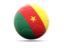 Cameroon. Football icon. Download icon.