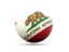 Flag of state of California. Football icon. Download icon
