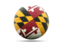 Flag of state of Maryland. Football icon. Download icon