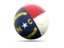 Flag of state of North Carolina. Football icon. Download icon