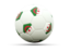 Algeria. Football icon. Download icon.