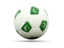 Pakistan. Football icon. Download icon.