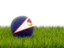 Американское Самоа. Футбольная мяч в траве. Скачать иллюстрацию.
