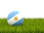 Argentina. Football in grass. Download icon.