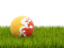 Бутан. Футбольная мяч в траве. Скачать иллюстрацию.