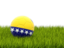 Bosnia and Herzegovina. Football in grass. Download icon.