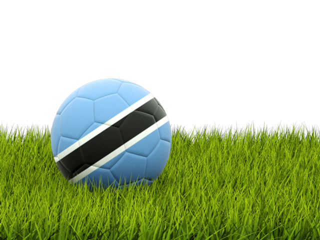 Футбольная мяч в траве. Скачать флаг. Ботсвана