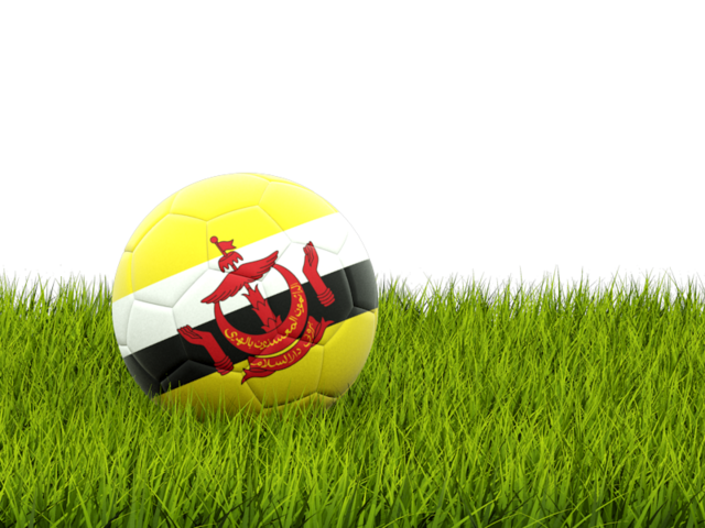 Football in grass. Download flag icon of Brunei at PNG format