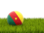 Cameroon. Football in grass. Download icon.