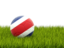 Costa Rica. Football in grass. Download icon.