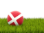 Denmark. Football in grass. Download icon.