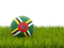 Dominica. Football in grass. Download icon.