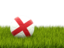 England. Football in grass. Download icon.